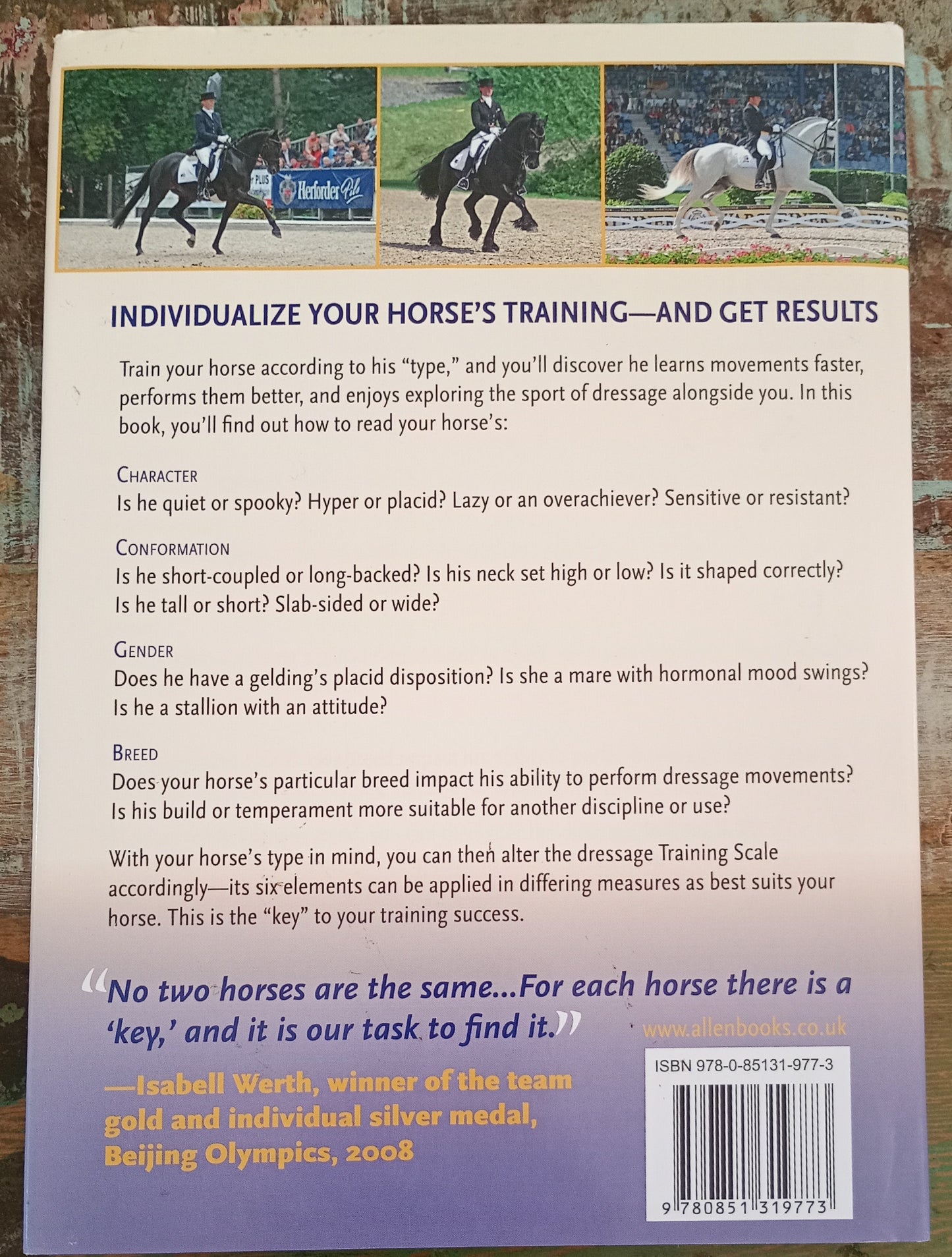 Dressage Training Customized