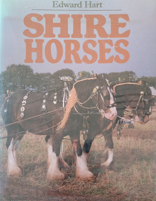 Shire Horses