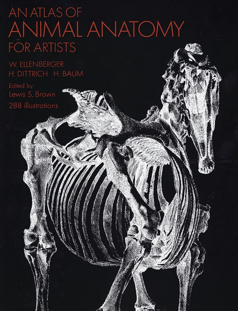An Atlas of Animal Anatomy for Artists