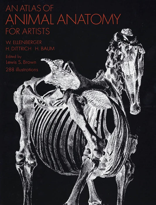 An Atlas of Animal Anatomy for Artists
