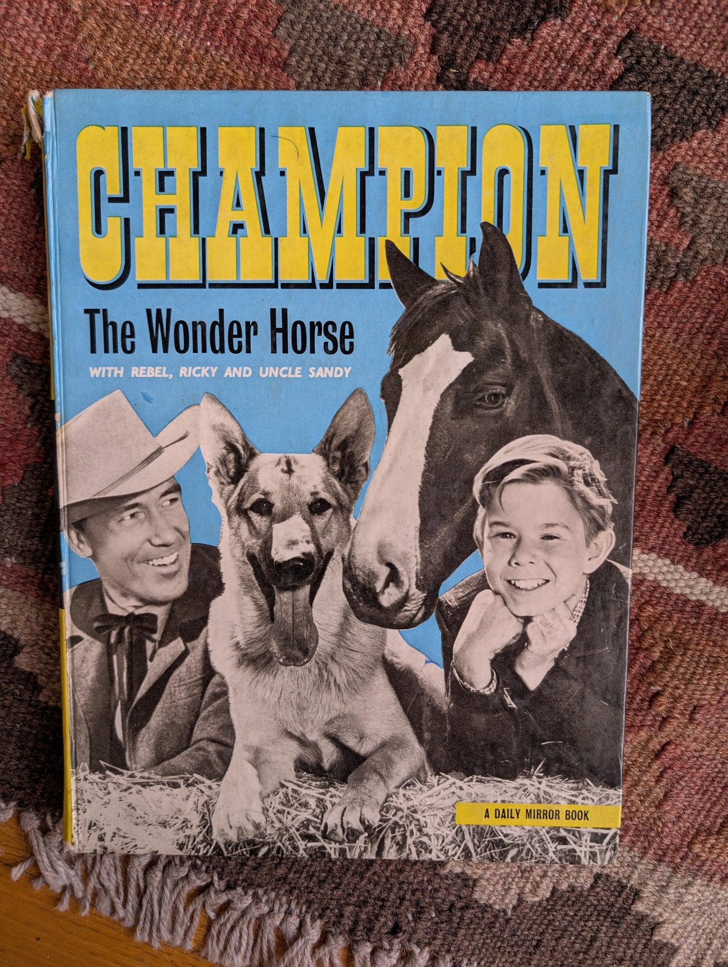 Champion the Wonder Horse