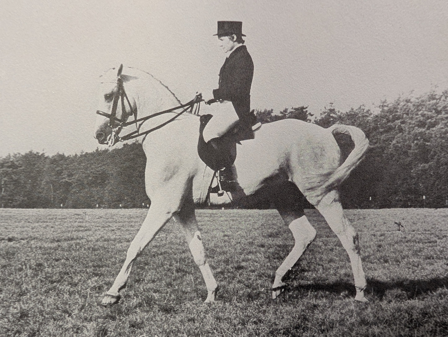 Great Riding Schools of the World