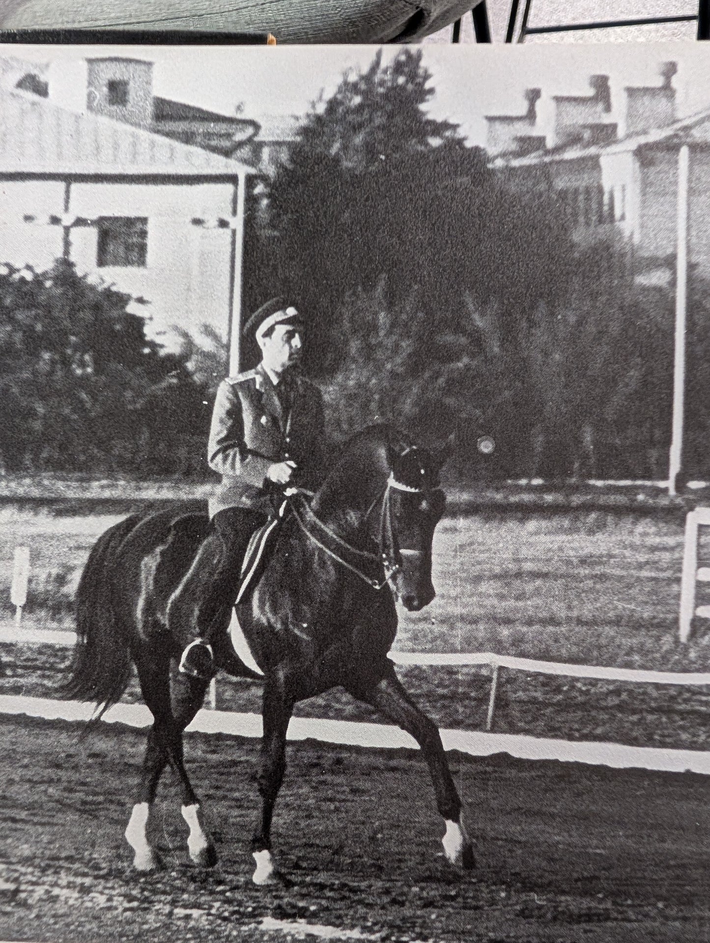 Great Riding Schools of the World