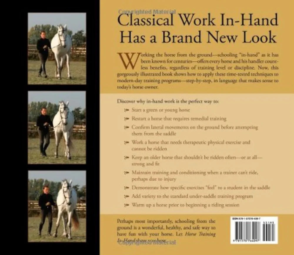 Horse Training In-Hand