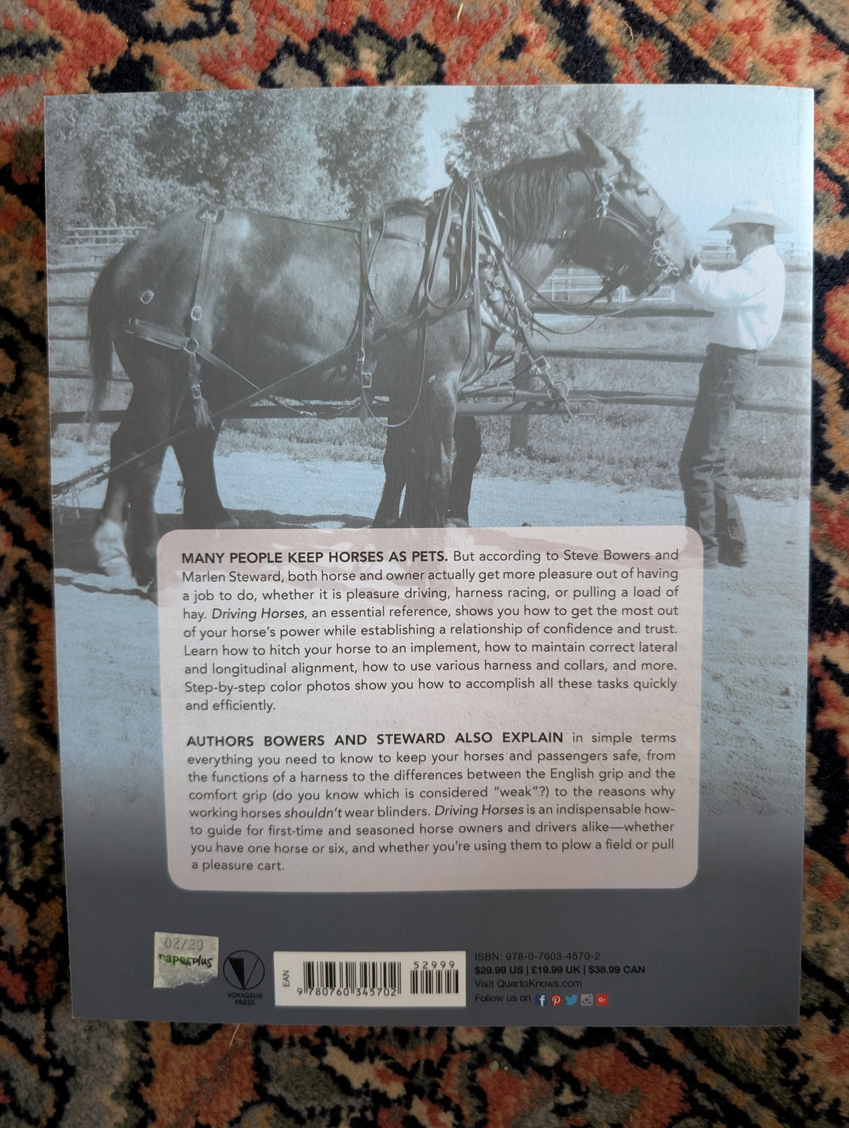 Driving Horses