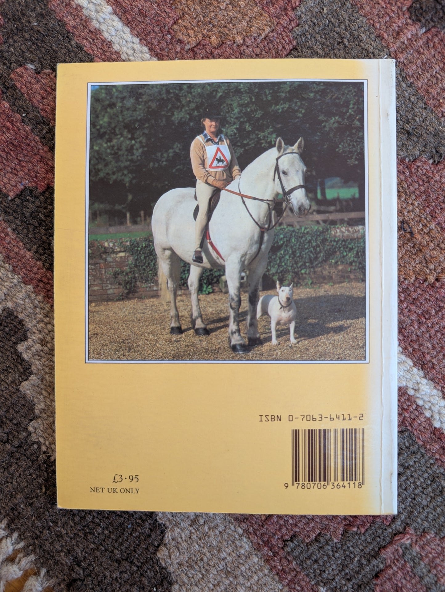 Horse Problems & Vices Explained