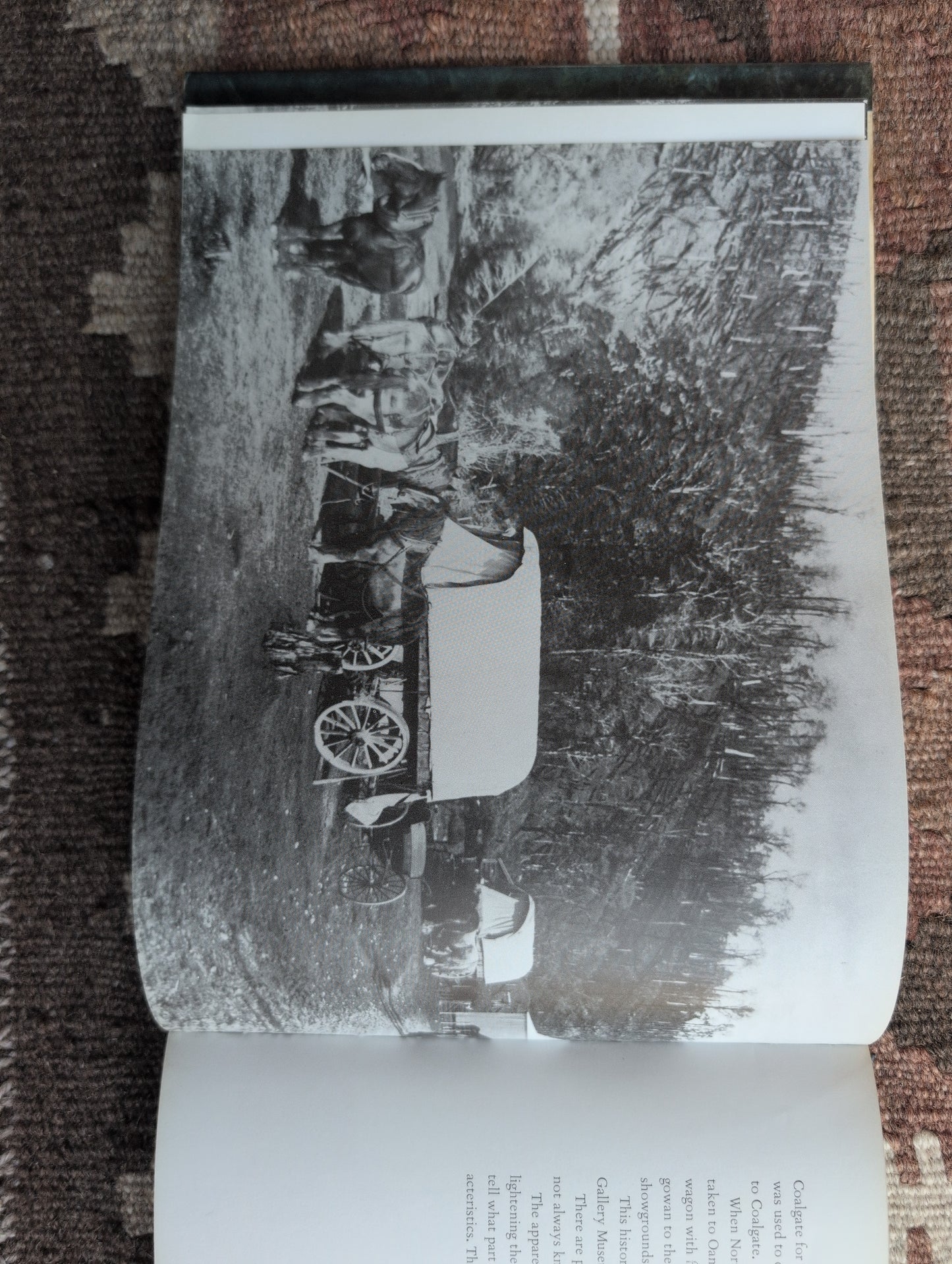 Horsedrawn Vehicles of NZ
