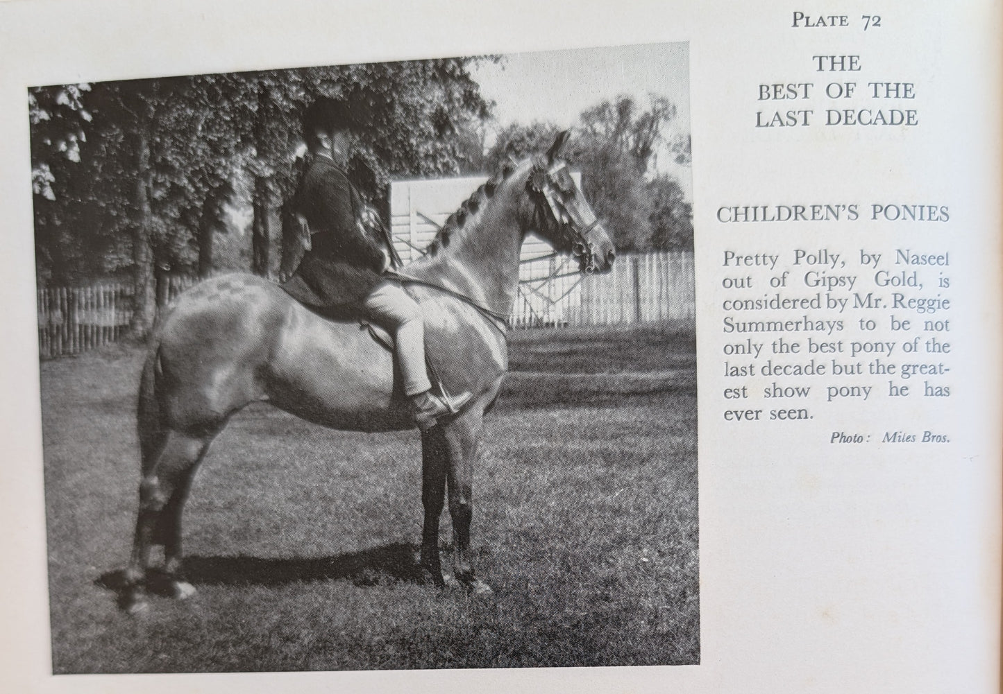 The Horseman's Year (1956)