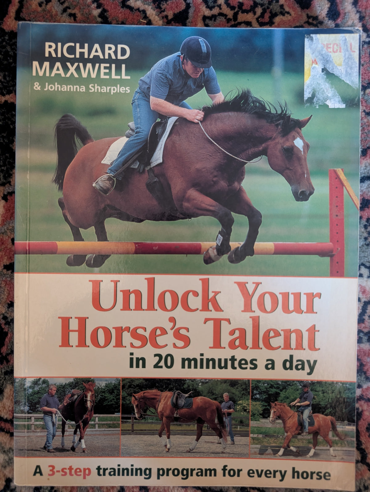 Unlock your Horse's Talent