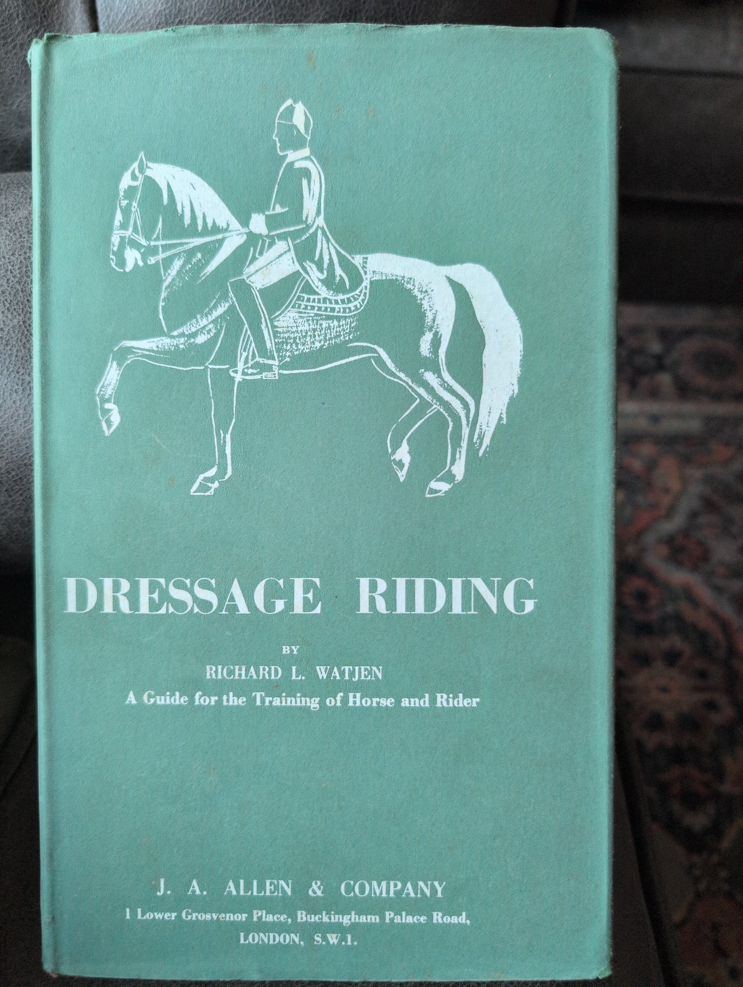 Dressage Riding