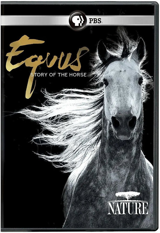Equus Story of the Horse