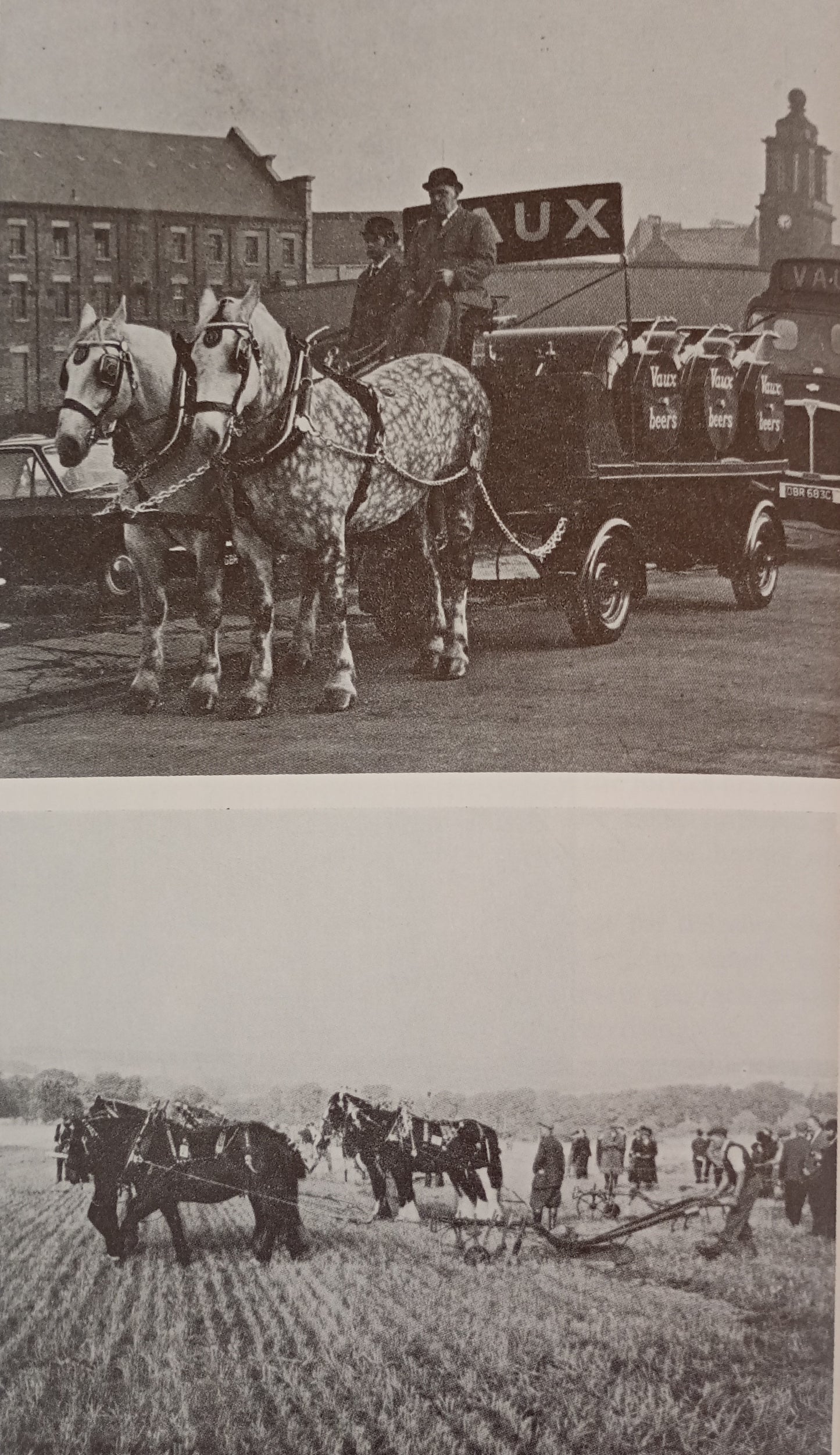 The Heavy Horse, It's Harness and Harness Decoration