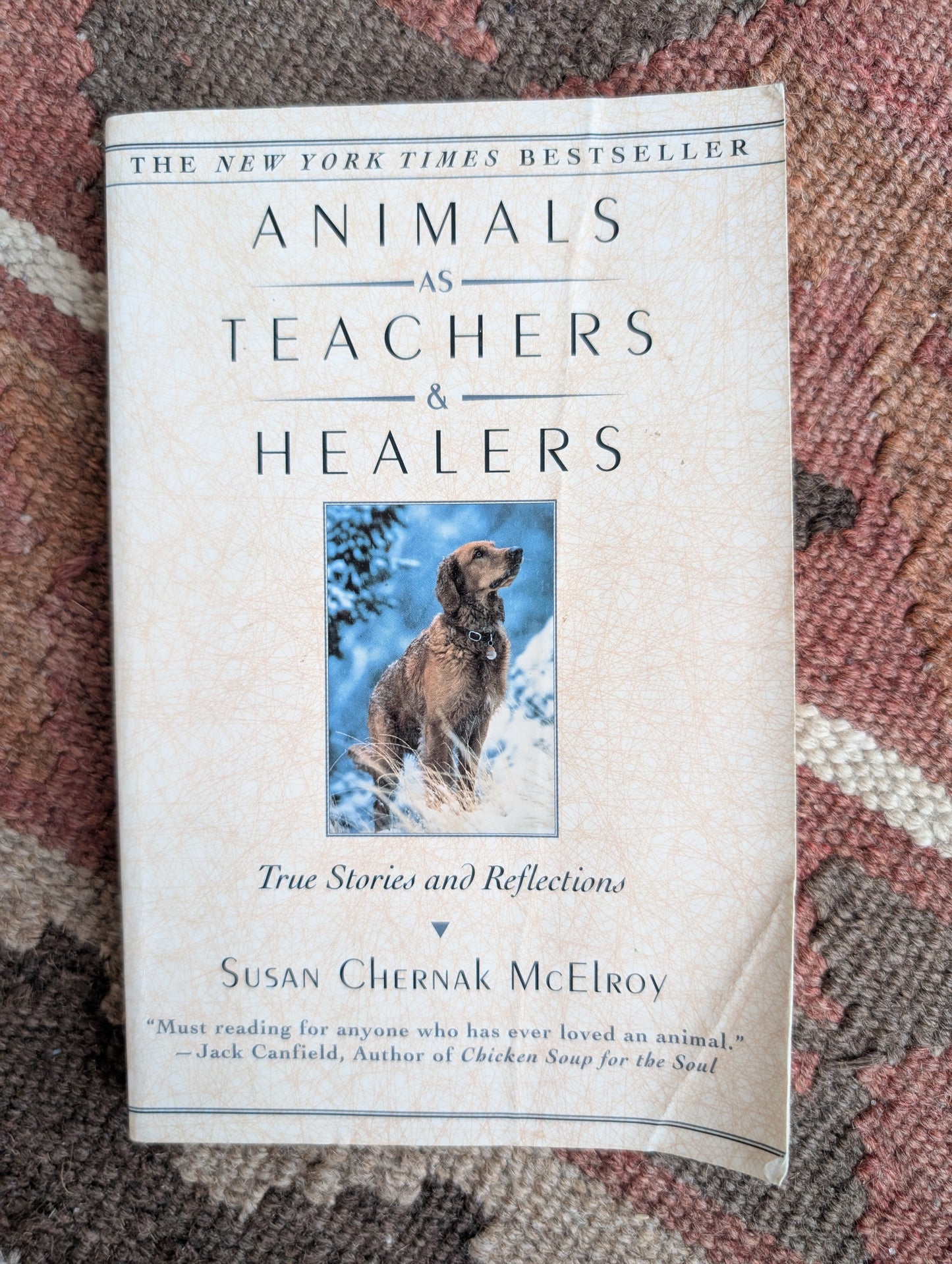 Animals as Teachers and Healers