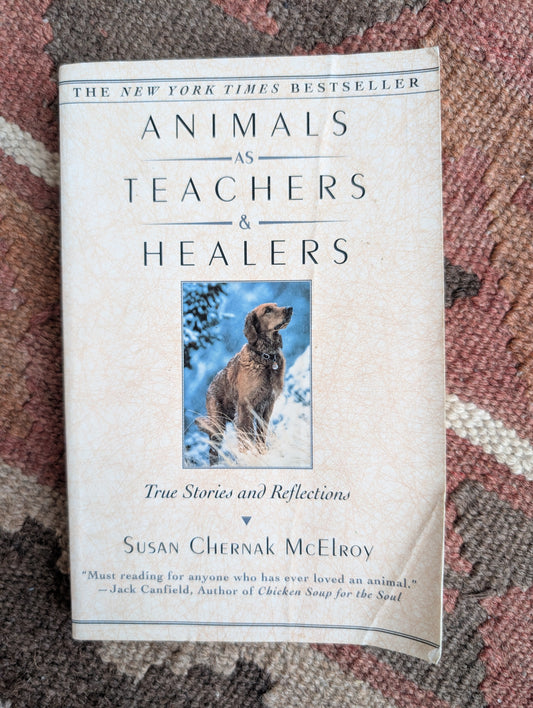 Animals as Teachers and Healers