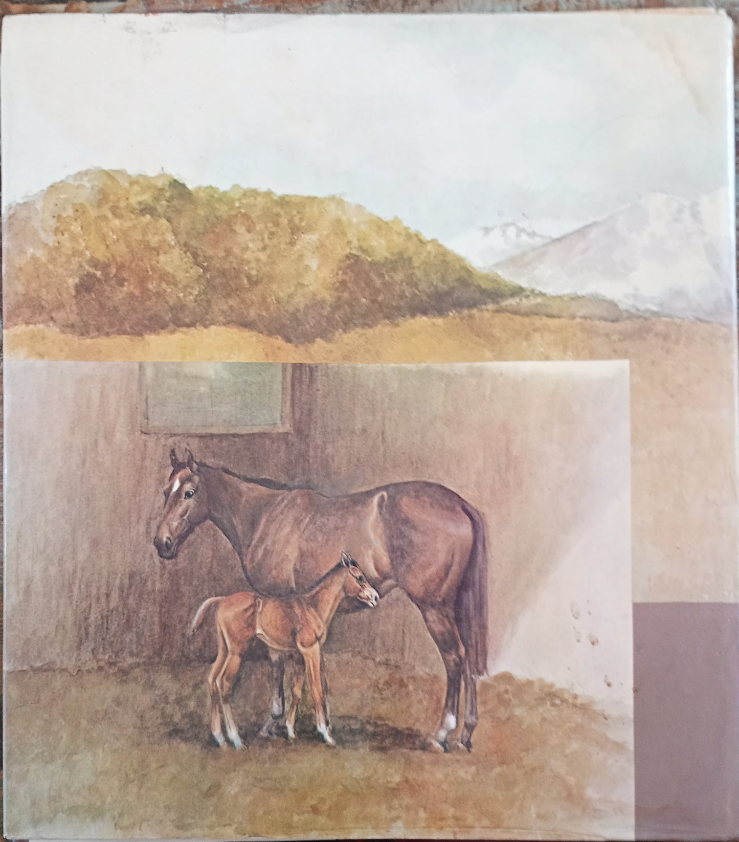 The Horse in New Zealand