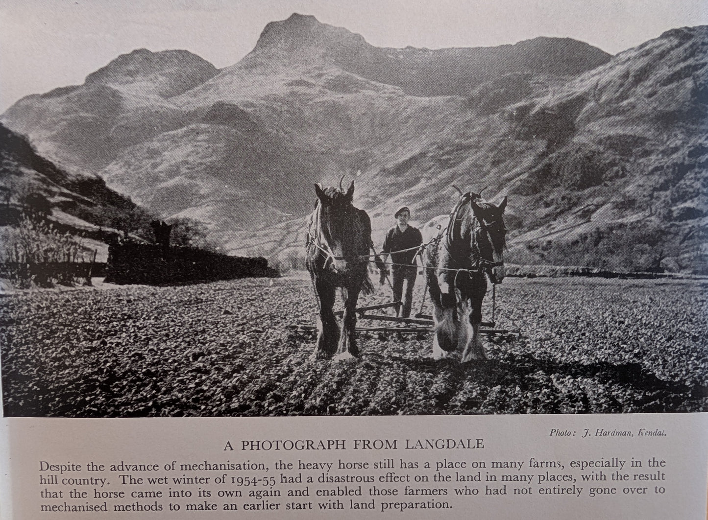 The Horseman's Year (1956)