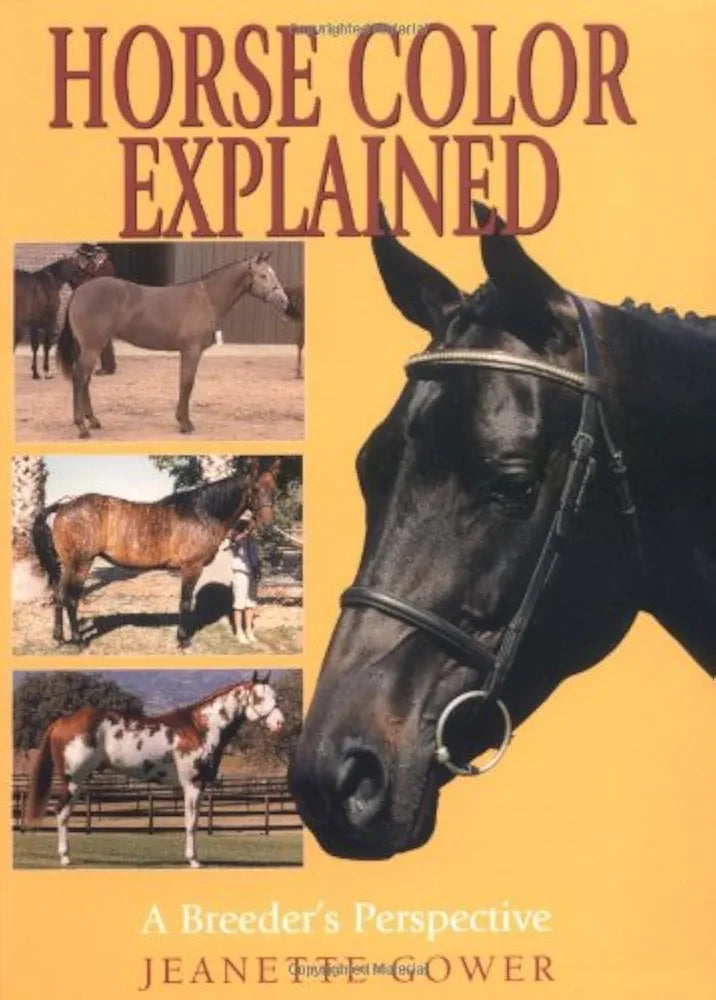 Horse Colour Explained