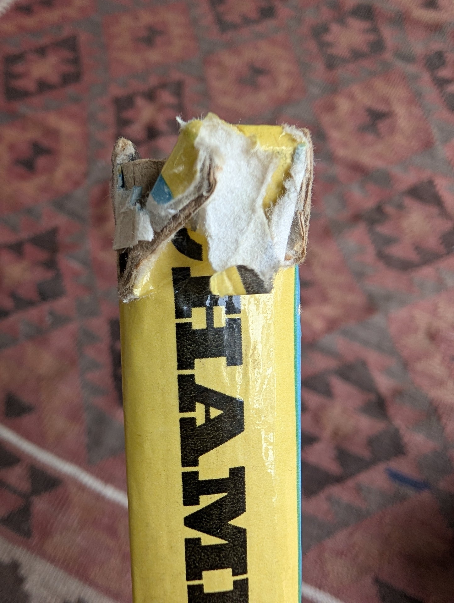 Champion the Wonder Horse