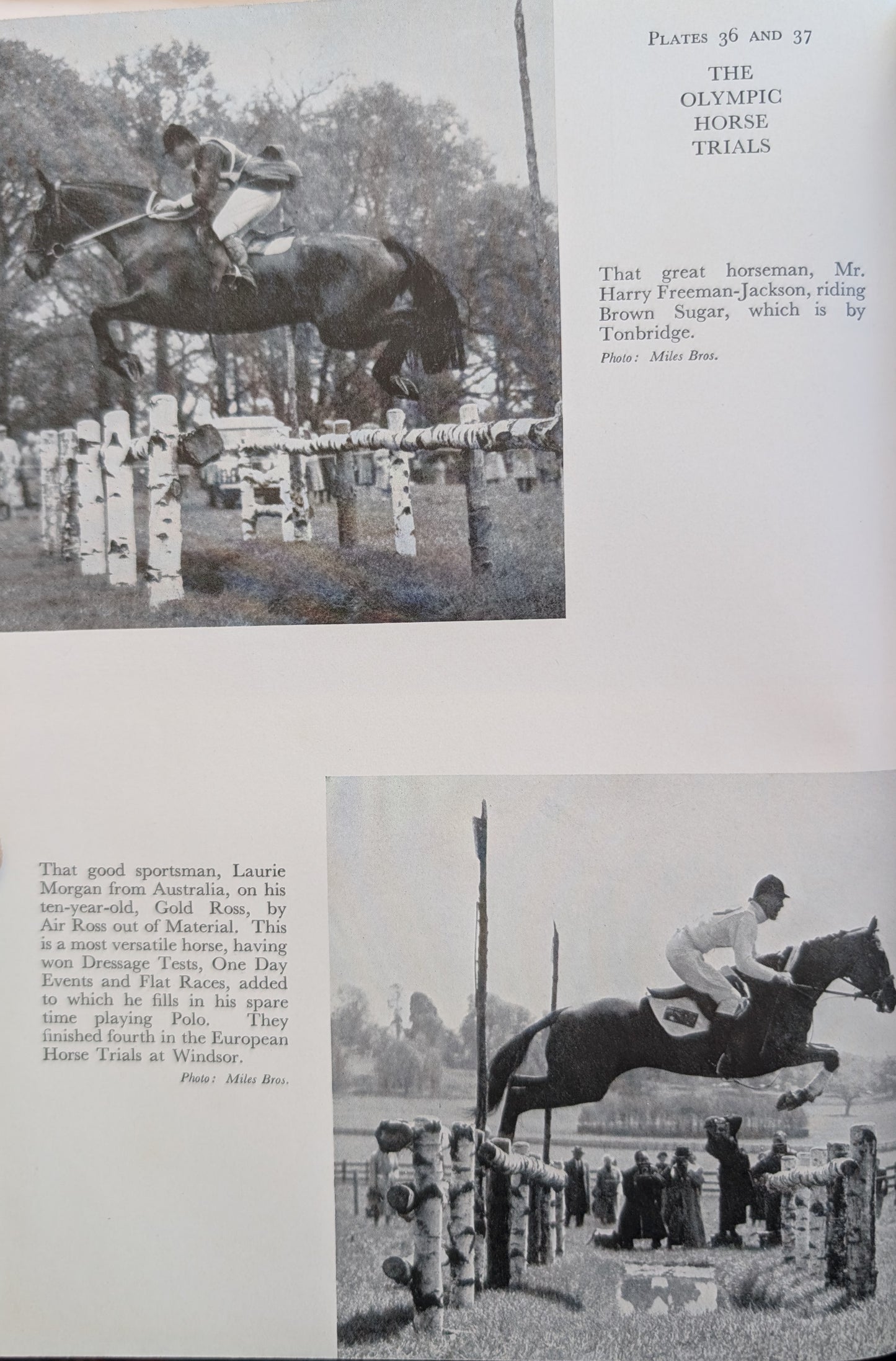 The Horseman's Year (1956)