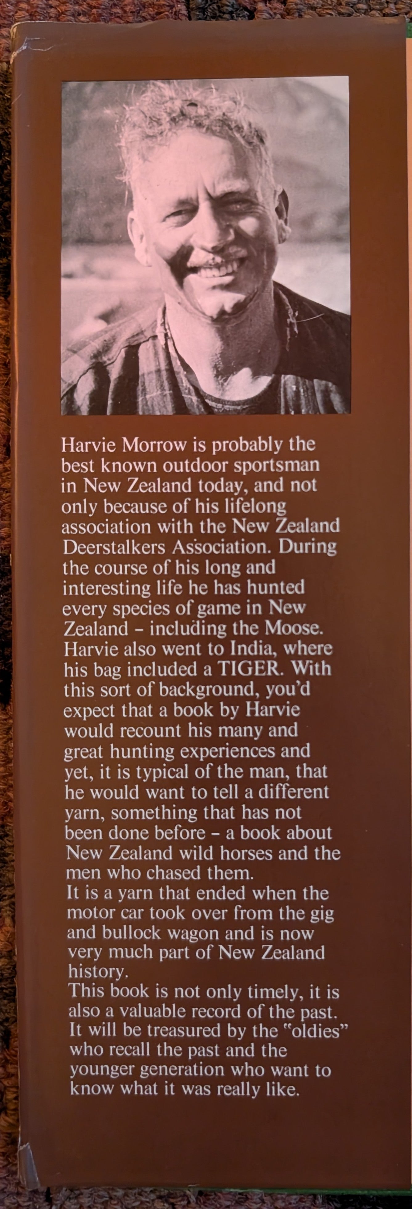 New Zealand Wild Horses