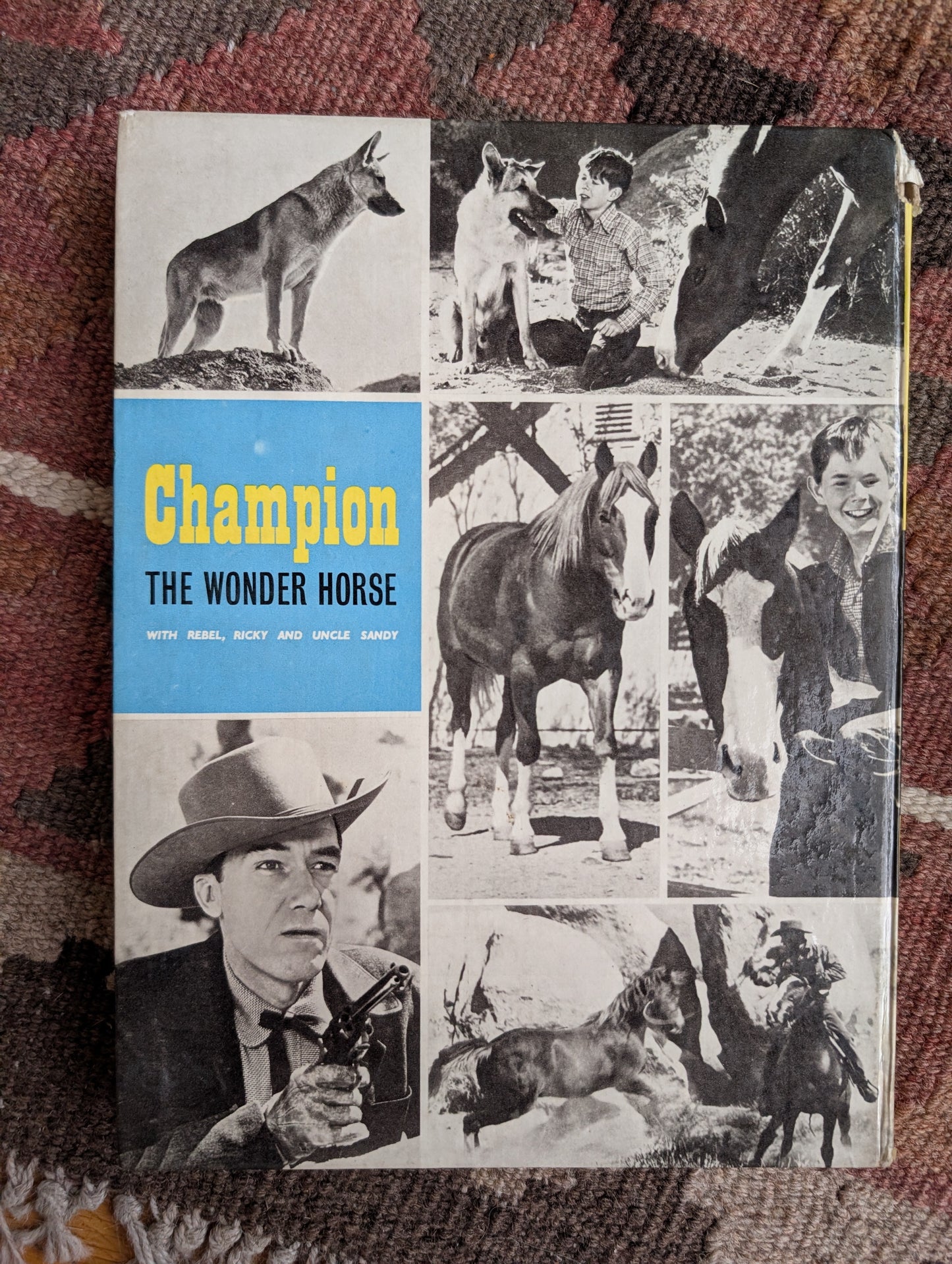 Champion the Wonder Horse