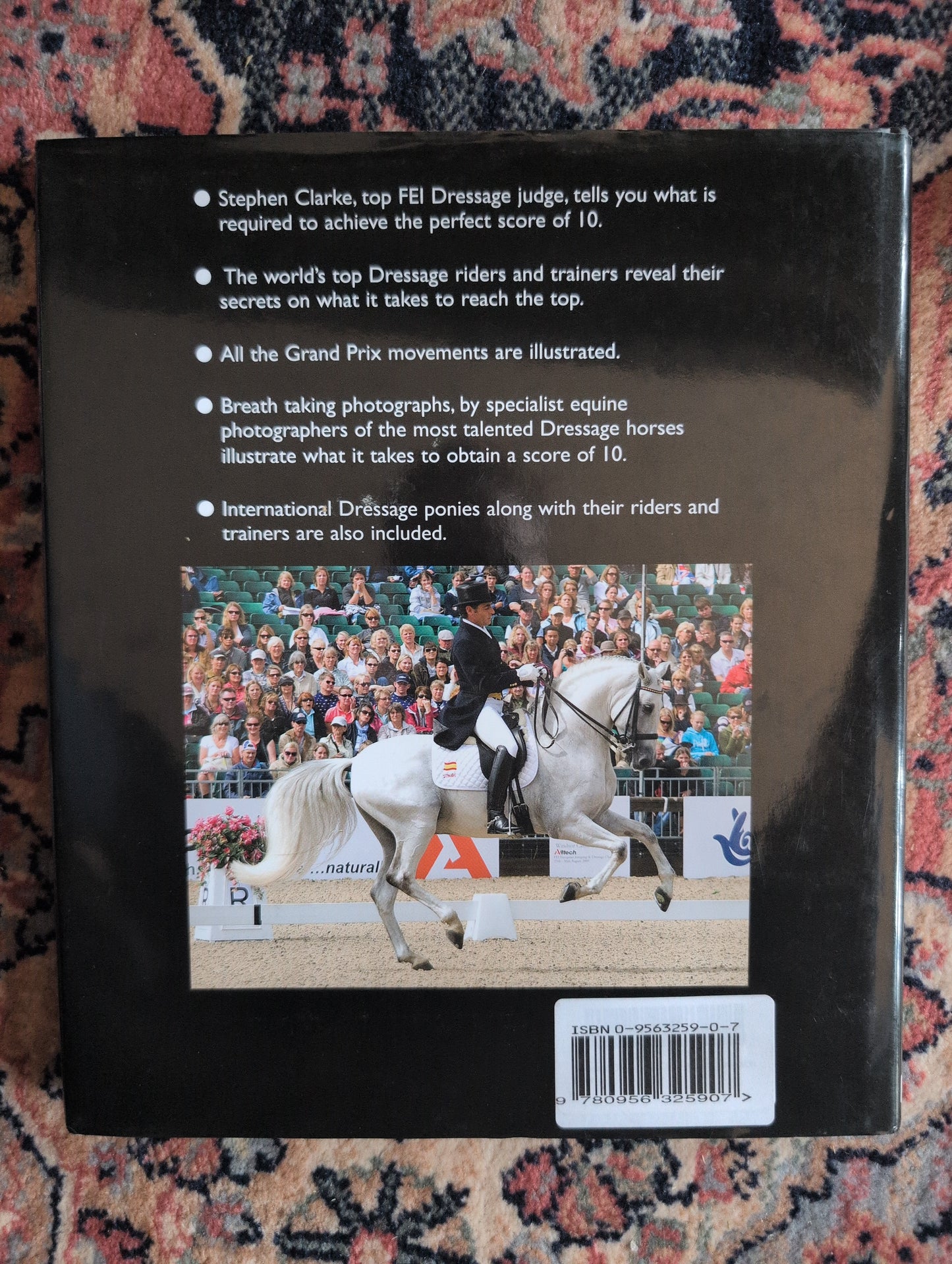 Dressage Dreams 10