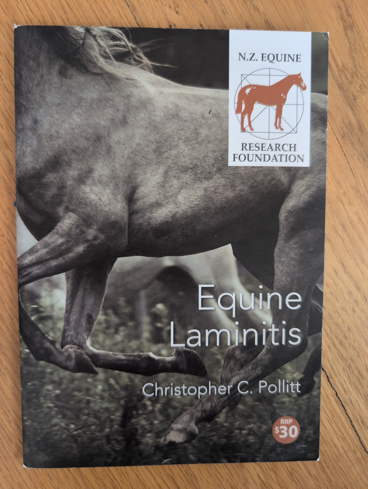 Equine Laminitis