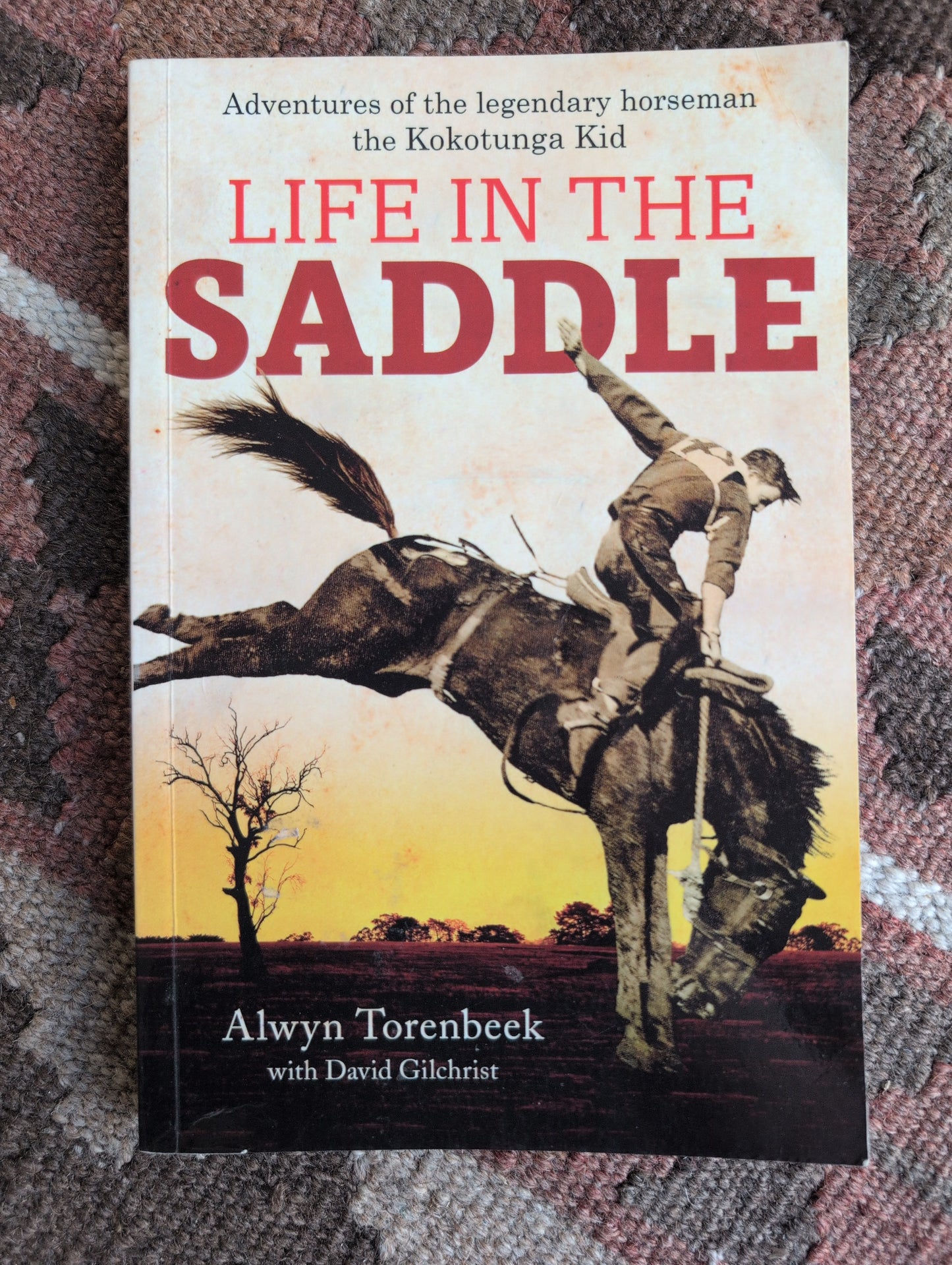 Life in the Saddle