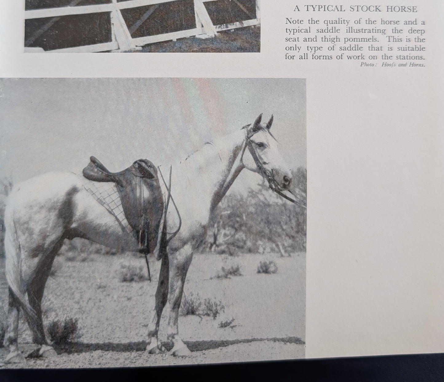 The Horseman's Year (1956)