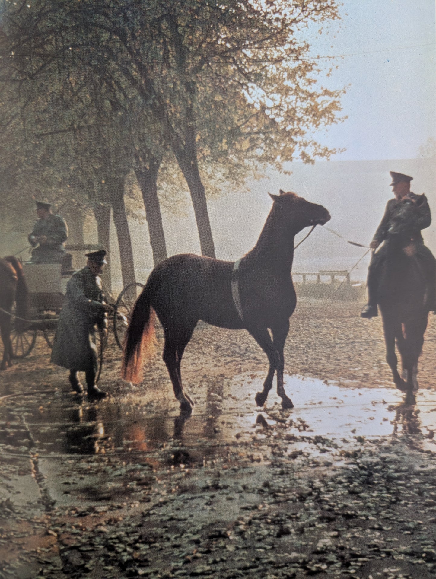 Great Riding Schools of the World