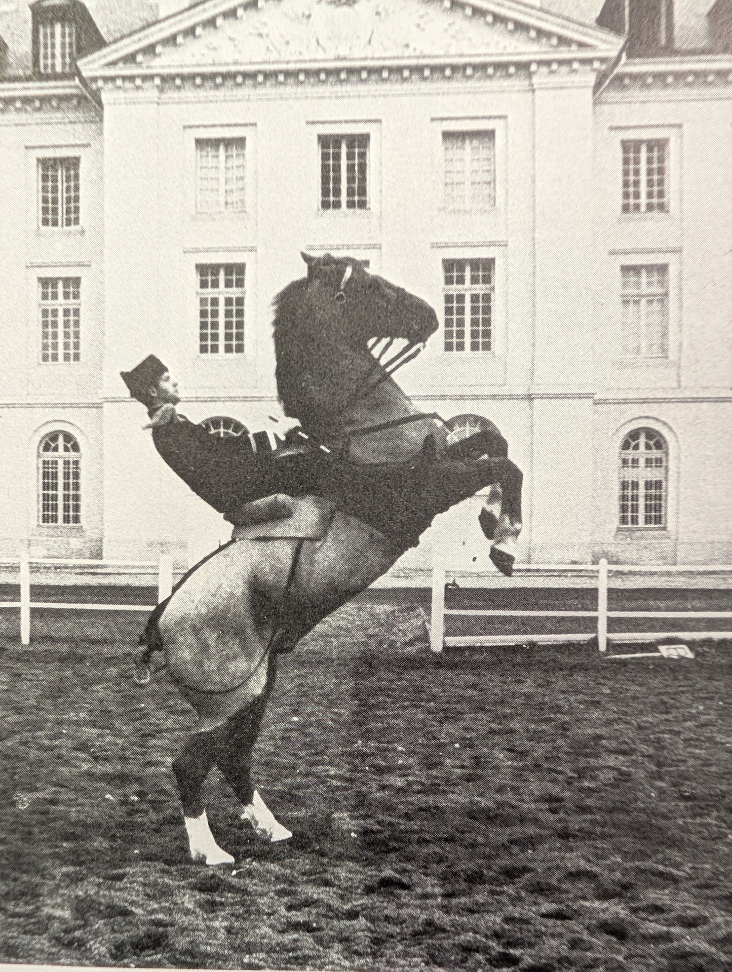 Great Riding Schools of the World