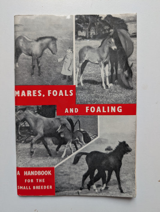 Mares, Foals and Foaling