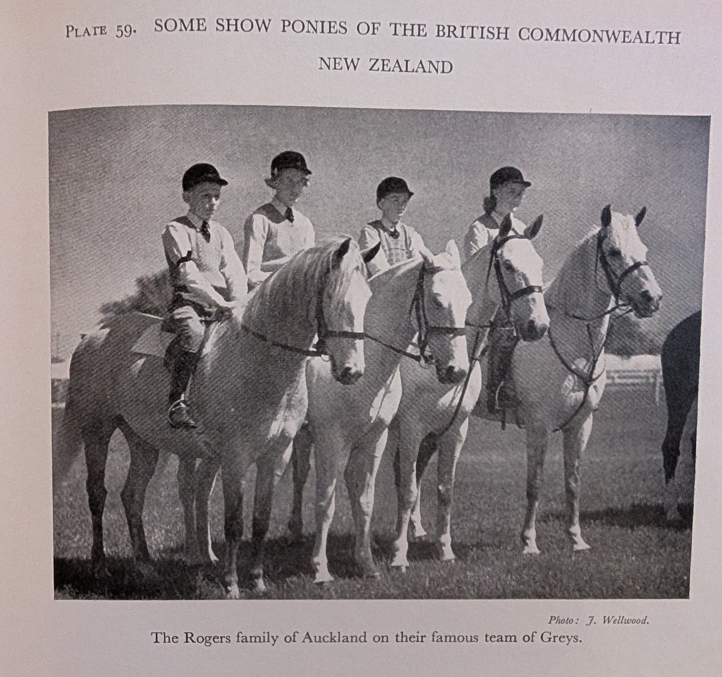 The Horseman's Year (1956)