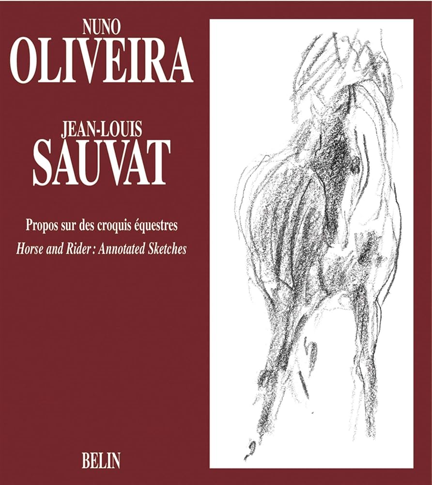 Horse and Rider: Annotated Sketches