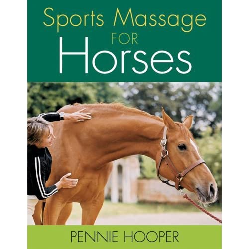 Sports Massage for Horses