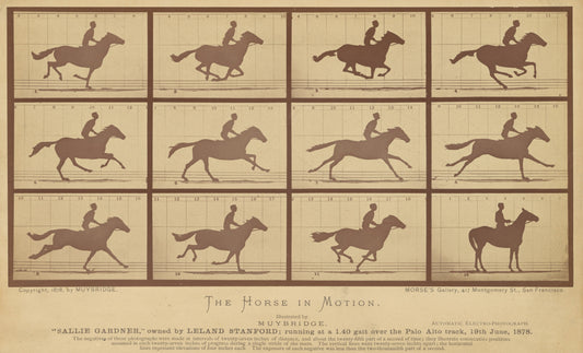 The Horse in Motion